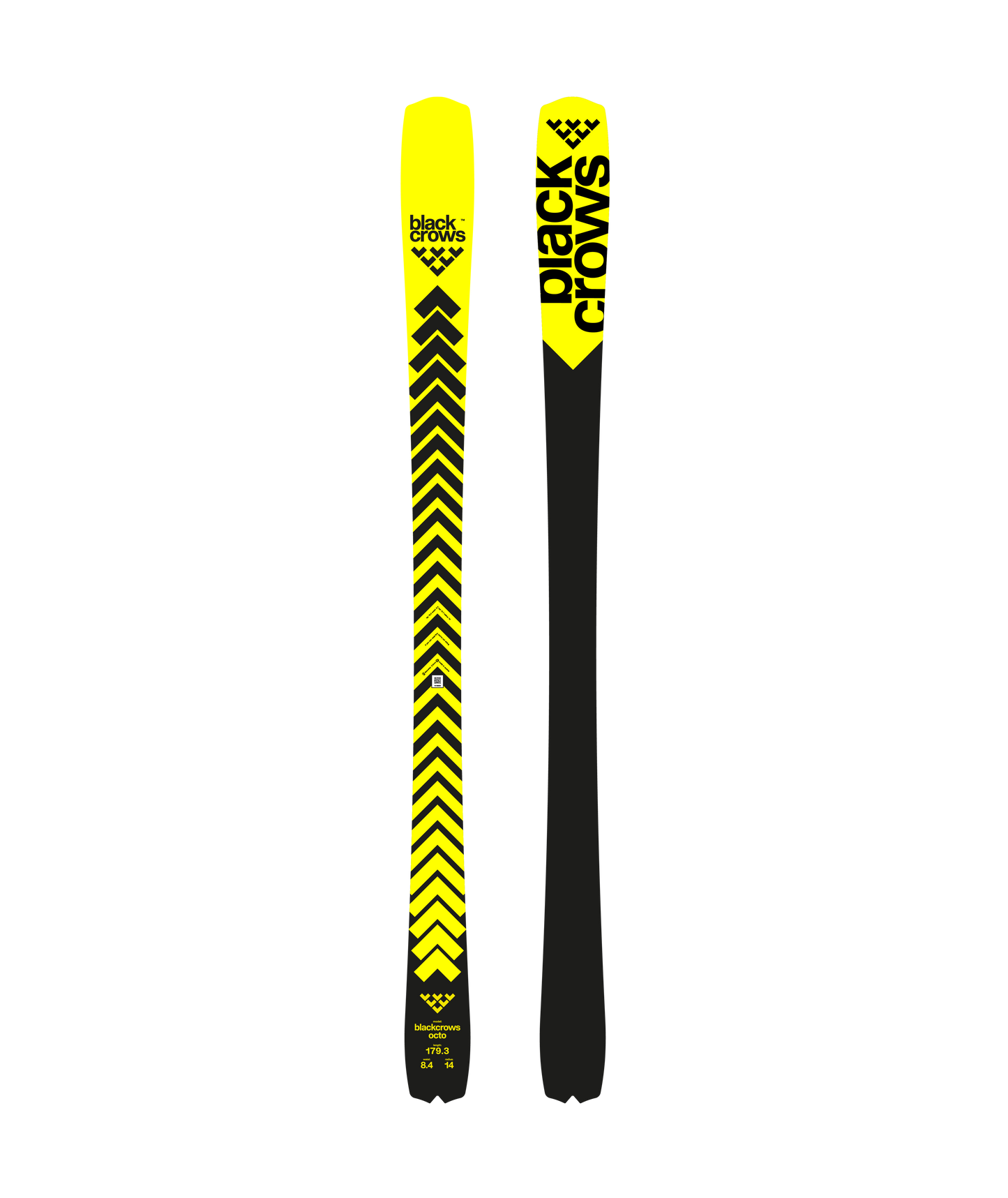 BlackCrows Octo 25/26