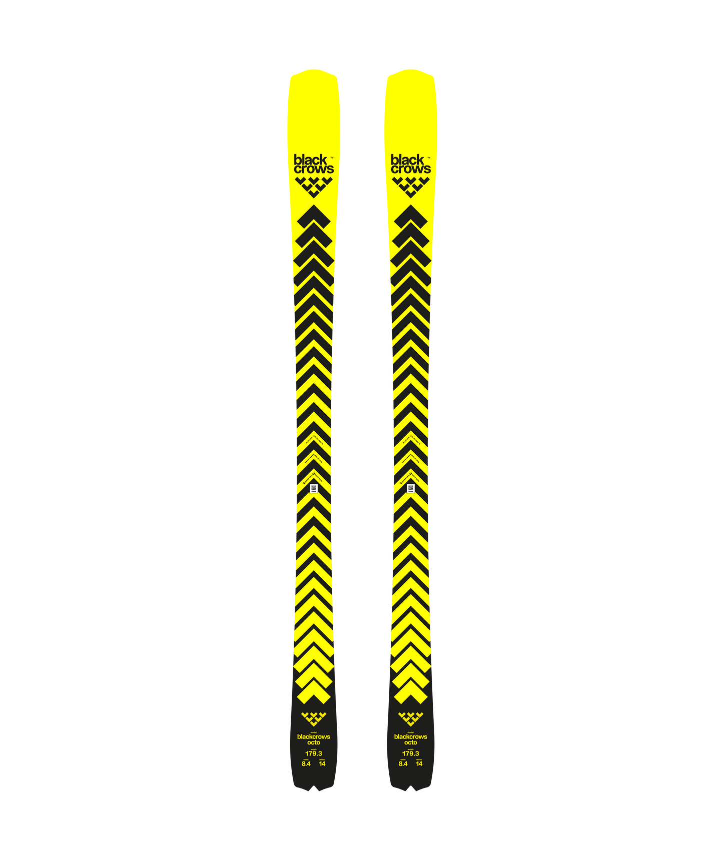 BlackCrows Octo 25/26