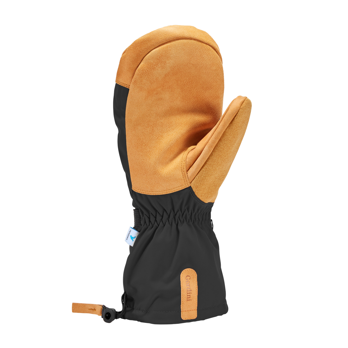 Gordini Men's Windward Mitt