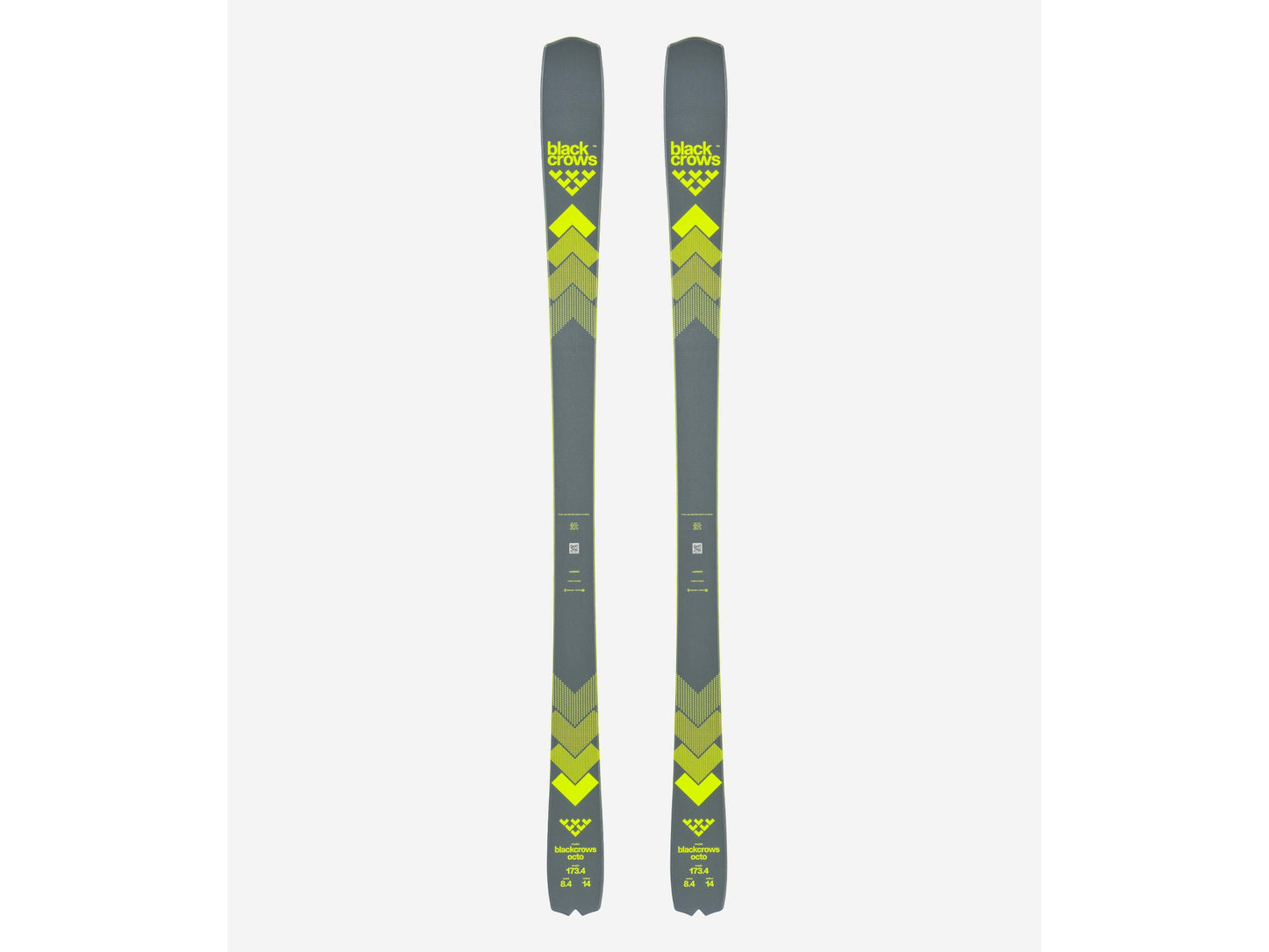 BlackCrows OCTO 24/25