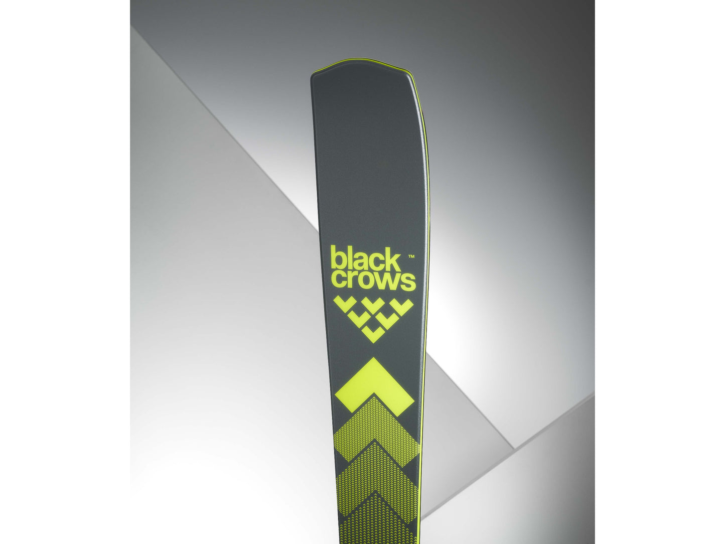 BlackCrows OCTO 24/25