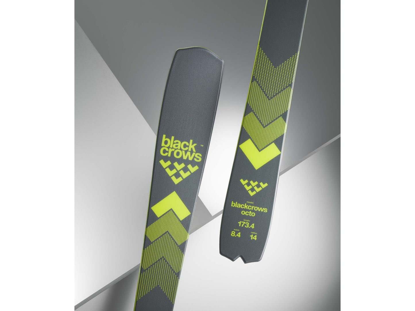 BlackCrows OCTO 24/25