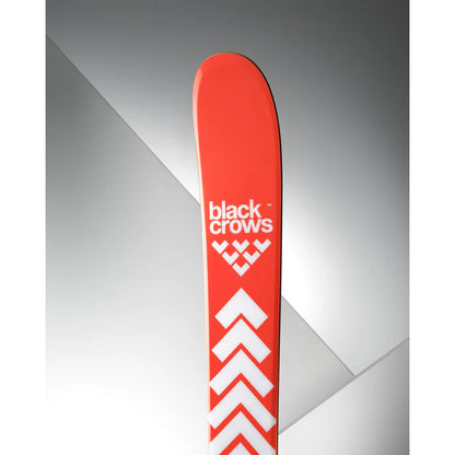 BlackCrows Camox birdie 25/26