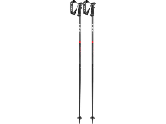 QNTM Ski Poles