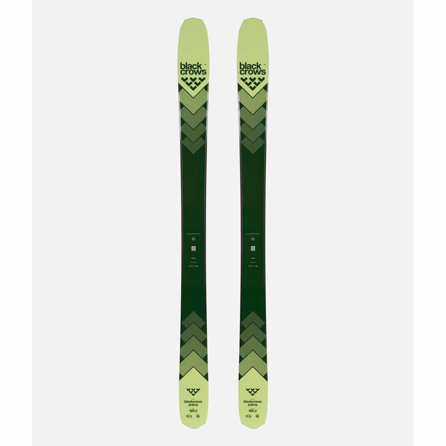 Black Crows Anima Skis 2025