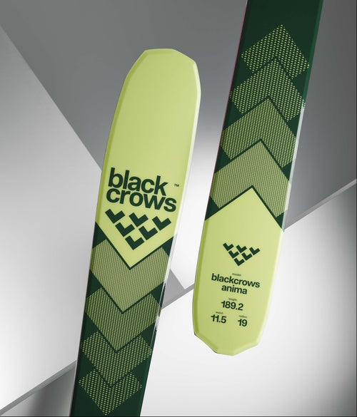 Black Crows Anima Skis 2025