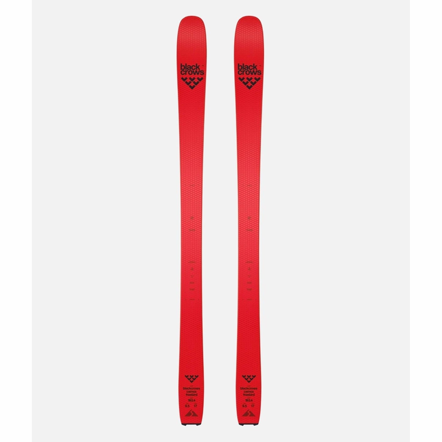 Black Crows Camox Freebird Skis 2025