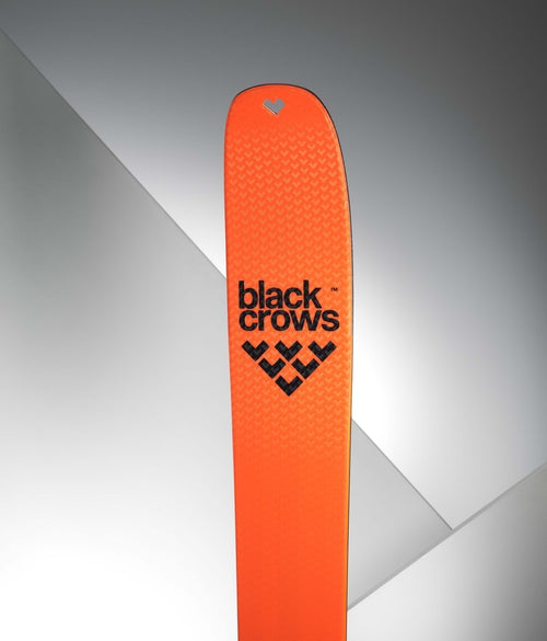 Black Crows Draco Freebird Skis 2025