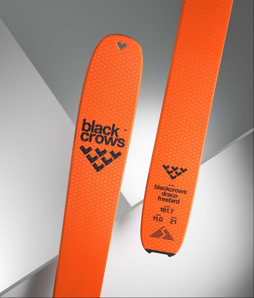 Black Crows Draco Freebird Skis 2025