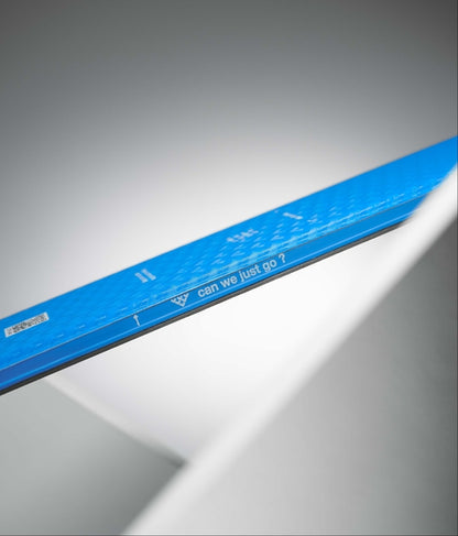 Black Crows Ova Freebird Skis 2025